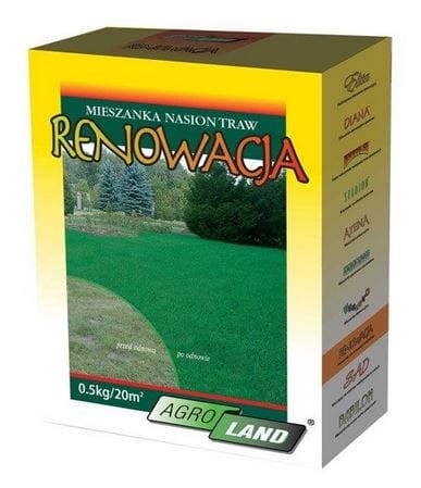 trawa-renowacja-nasiona-trawy-renowacyjnej0agroland.JPG