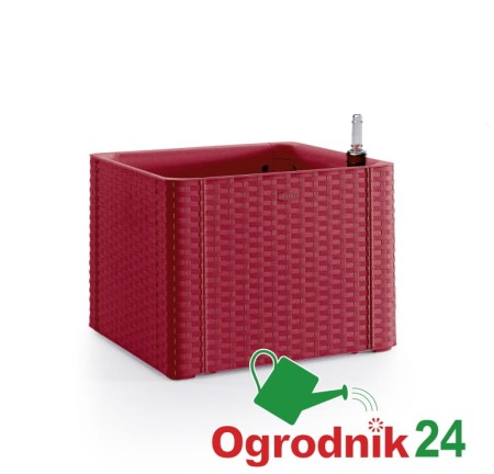 NATURAL Fioriera Deluxe quadra rosso rubino skrzynka.jpg