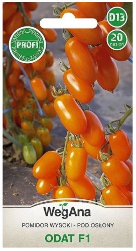 Przejdź do produktu Pomidor Odat F1 nasiona 20 szt  pomarańczowy słodki