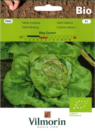 salata-bio-may-queen-vilmorib.JPG