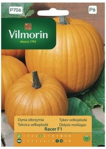 Przejdź do produktu Nasiona dynia Racer F1 10z Vilmorin