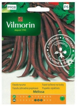 fasola-szparagowa-tyczna-vilmorin-nasiona.JPG
