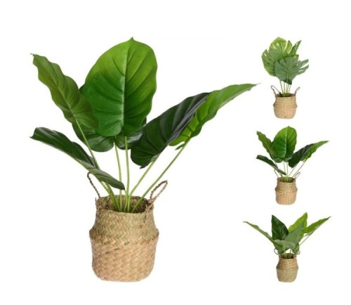 Przejdź do produktu Sztuczna roślina w koszu jutowym 29 cm x 46 cm 846052