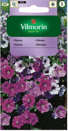 nasiona-petunii-zwisajacej-vilmorin.JPG
