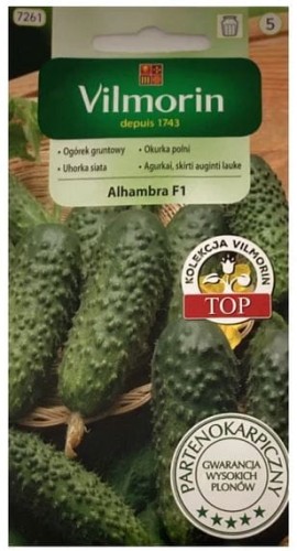 Przejdź do produktu Ogórek gruntowy partenokarpiczny Alhambra F1 3g Vilmorin
