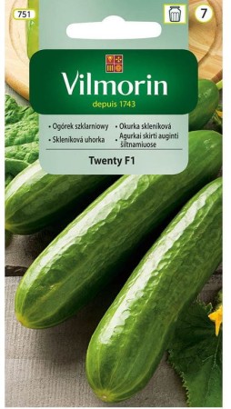 ogorek-szklarniowy-twenty-f1-vilmorin-nasiona.JPG