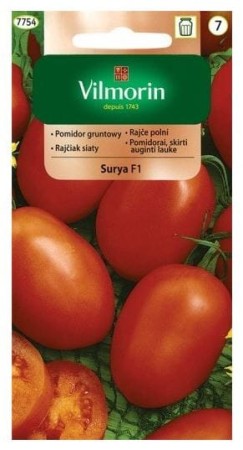 pomidor-gruntowy-surya-f1.JPG