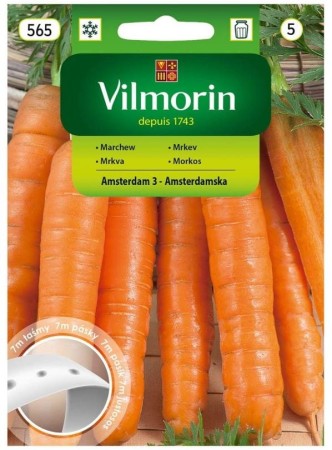 marchew-amsterdamska-nasiona-na-tasmie-7m-vilmorin.JPG