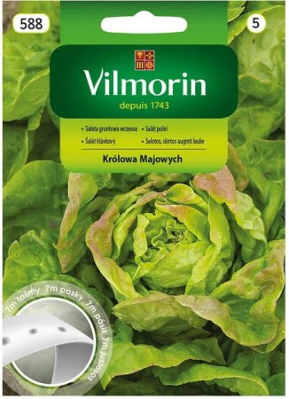 salata-krolowa-majowych-nasiona-na-tasmie-7m-vilmorin.JPG