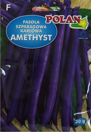 fasola-szparoga-karlowata-fioletowa-amethyst-polan.JPG