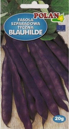 fasola-blauhilde-pozna-fioletowa-.JPG