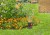 gardena-zestaw-8274.JPG