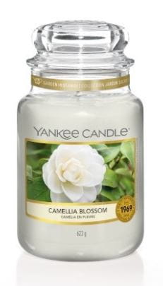 yc-camellia-blossom-duży.JPG