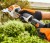 stihl-hsa-26-akumulator.JPG