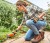 stihl-hsa-26-set-nozyce-akumulatorowe-do-trawy.JPG