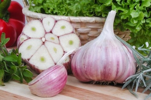 Przejdź do produktu Czosnek zimowy do sadzenia Harnaś 0,5kg