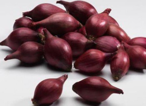 Przejdź do produktu Cebula dymka czerwona RED BARON do sadzenia 0,5kg