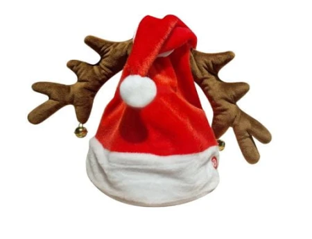 czapka-spiewa.JPG