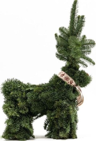 renifer-z-galazek-jodly-nobilis.JPG