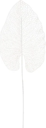 lisc-bananowca-67cm-bialy-brokat.JPG