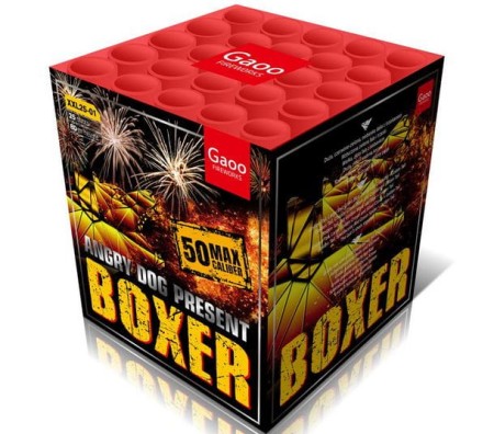 boxer-wyrzutnia-xxl25-01.JPG