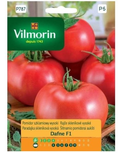 Przejdź do produktu Pomidor DAFNE F1 szklarniowy wczesny 0,2g Vilmorin