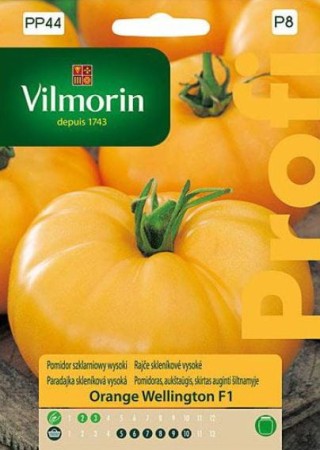 pomidor-orange-wellington-vilmorin.JPG