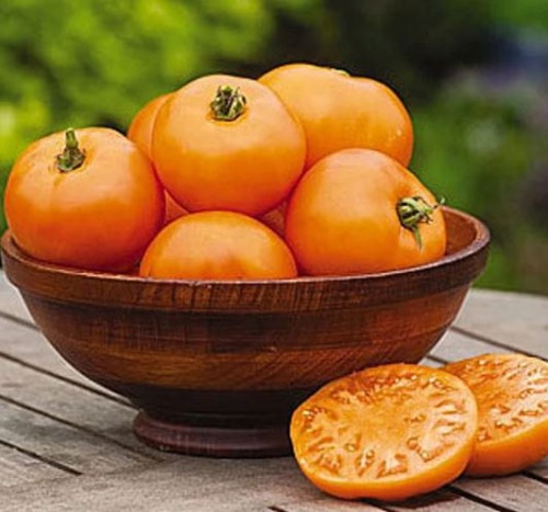 Przejdź do produktu Pomidor szklarniowy Orange Wellington wczesny 0,1g Vilmorin