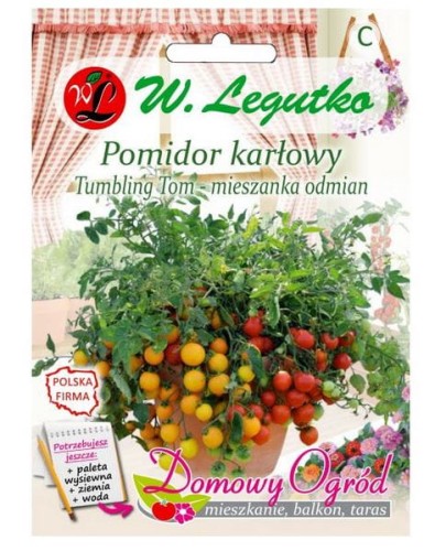 Przejdź do produktu Pomidor koktajlowy karłowy na balkon taras Tumbling Tom 0,2 g nasiona