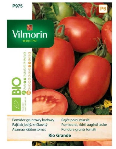 Przejdź do produktu Pomidor gruntowy karłowy Rio Grande 0,5 g