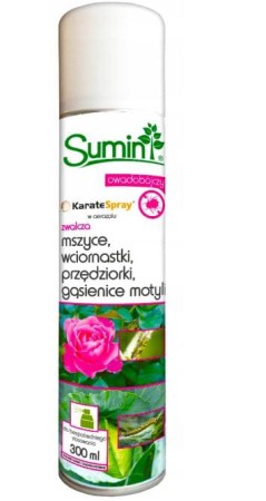 karate-aerozol-300-ml-sumin.JPG