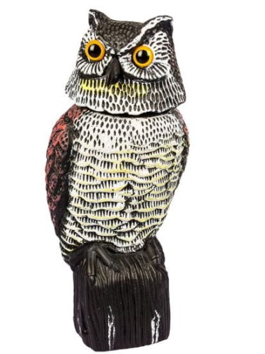 Przejdź do produktu Figura sowa ruchoma głowa odstraszacz 18x40 cm 731012