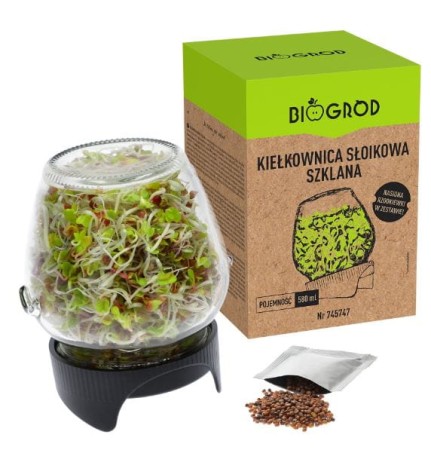 kielkownica-szklana.JPG