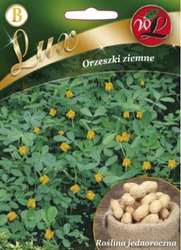 Przejdź do produktu Nasiona orzeszki ziemne 10g