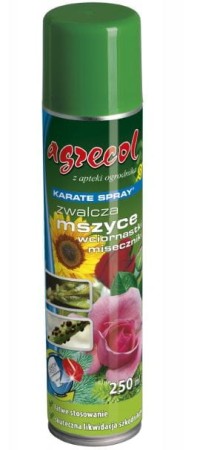 karate-spray-250-ml.JPG