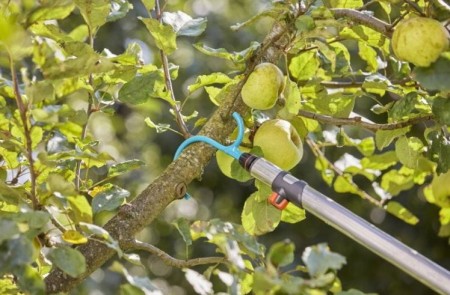 hak-do-galezi-gardena-17401-2.JPG