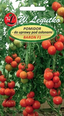 pomidor-baron.JPG