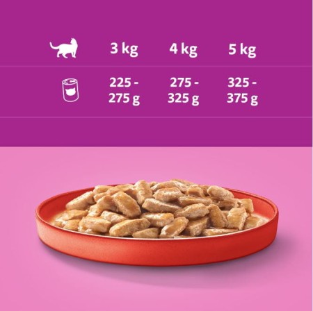 whiskas-karma-mokra-400-g.JPG
