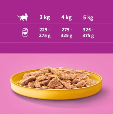 whiskas-karma-mokra-kurczak-400-g.JPG