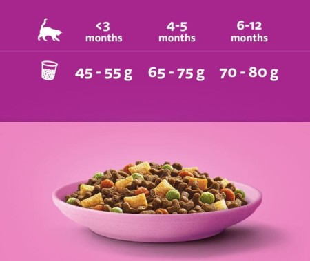 whiskas-kocieta-kurczak-300-g.JPG