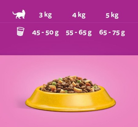 whiskas-karma-sucha-dla-kota-kurczak-300-g.JPG