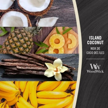 island-coconut.JPG