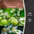 swieca-linen-zapach-woodwick.JPG