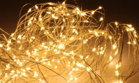 lampki-ryz-na-druciku-20-led.JPG