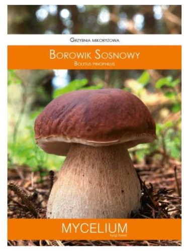 Przejdź do produktu Grzybnia mikoryzowa borowik sosnowy 60 ml