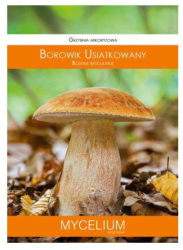 Przejdź do produktu Grzybnia mikoryzowa borowik usiatkowany 60ml