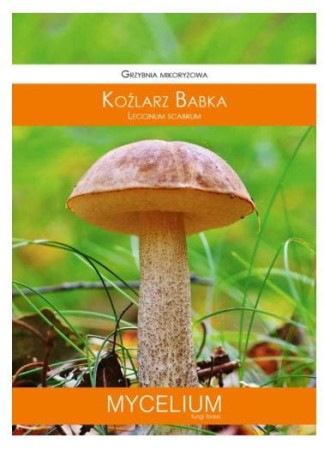 grzybnia-mikoryzowa-kozlarz-babka-60ml.JPG