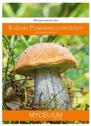Przejdź do produktu Grzybnia mikoryzowa koźlarz pomarańczowy 60ml
