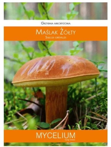 Przejdź do produktu Grzybnia mikoryzowa maślak żółty 60ml