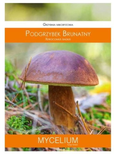 Przejdź do produktu Grzybnia mikoryzowa podgrzybek brunatny 60ml